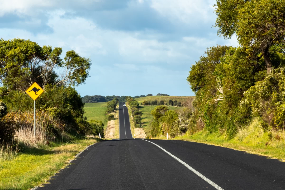 Seeing Machines ponders investments to road safety and infrastructure as part of the 24/25 Australian Federal Budget